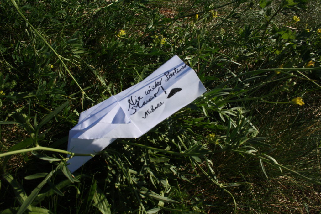 Papierflieger im Gras mit Aufschrift Nie wieder Berliner Mauer